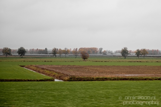Dutch_automn_colors_fall_herfst_in_Nederland_nature_Landscape_Photography_003_Canon_EOS_5D_Mark_IV.JPG