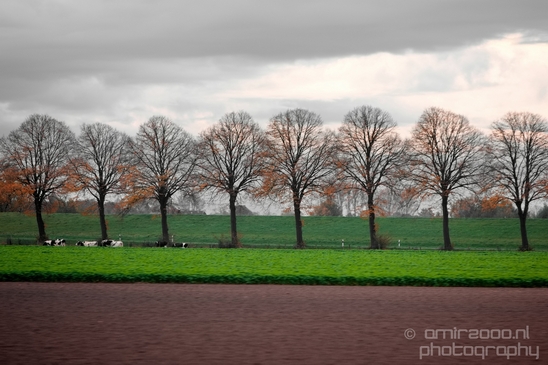 Dutch_automn_colors_fall_herfst_in_Nederland_nature_Landscape_Photography_005_Canon_EOS_5D_Mark_IV.JPG