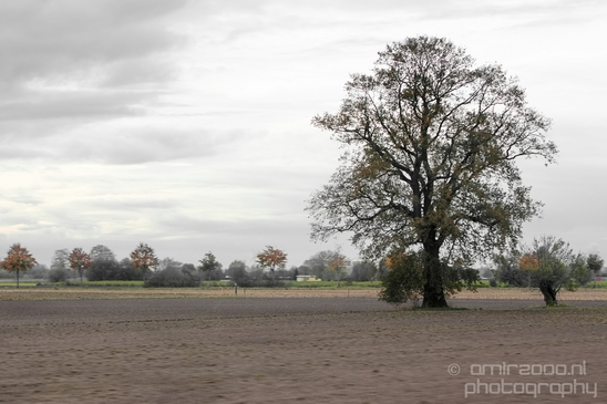 Dutch_automn_colors_fall_herfst_in_Nederland_nature_Landscape_Photography_006_Canon_EOS_5D_Mark_IV.JPG