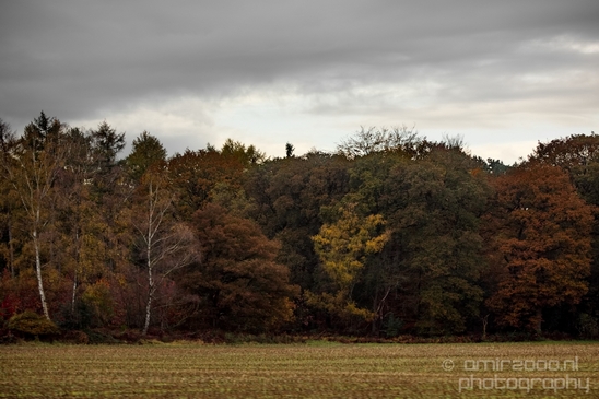 Dutch_automn_colors_fall_herfst_in_Nederland_nature_Landscape_Photography_008_Canon_EOS_5D_Mark_IV.JPG