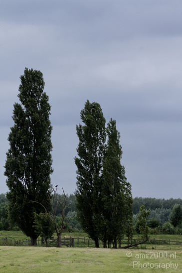 Dutch_landscape_Diemerpolder_Nature_Photography_003_Canon_EOS_7D.JPG