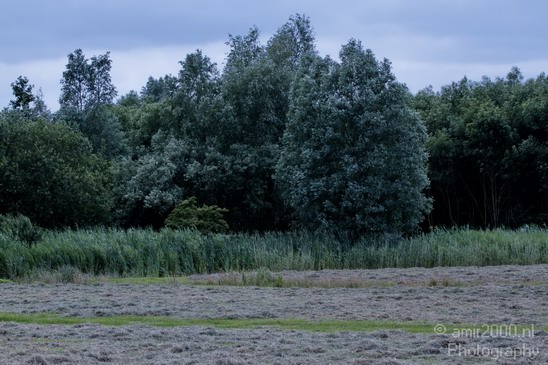 Dutch_landscape_Diemerpolder_Nature_Photography_005_Canon_EOS_7D.JPG