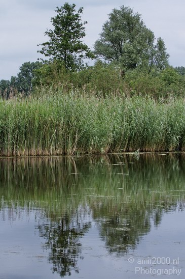 Dutch_landscape_Diemerpolder_Nature_Photography_006_Canon_EOS_7D.JPG