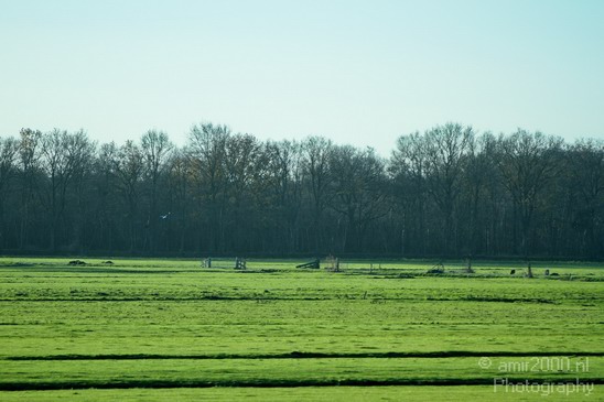 Dutch_landscape_Gelderland_Nature_Photography_002_Canon_EOS_7D.JPG