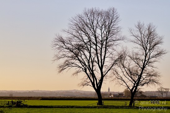Dutch_landscape_Gelderland_Nature_Photography_004_Canon_EOS_7D.JPG