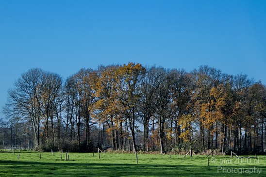 Dutch_landscape_Gelderland_Nature_Photography_006_Canon_EOS_7D.JPG