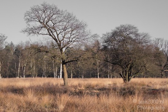 Dutch_landscape_Nature_Photography_004_Canon_EOS_7D.JPG
