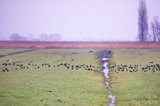 Dutch_landscape_Nederlandse_landschap_winter_Nature_Photography_001_Canon_EOS_5D_Mark_IV.JPG
