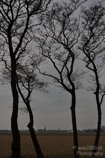 Dutch_landscape_Vogelenzang_Nature_Photography_001_Canon_EOS_7D.JPG