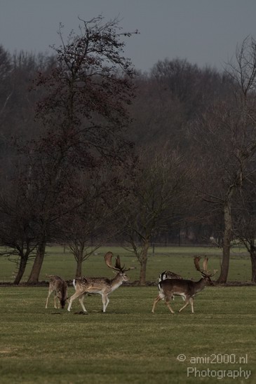 Dutch_landscape_Vogelenzang_Nature_Photography_010_Canon_EOS_7D.JPG