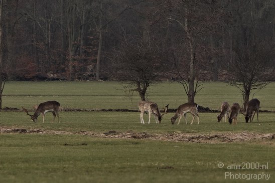Dutch_landscape_Vogelenzang_Nature_Photography_012_Canon_EOS_7D.JPG