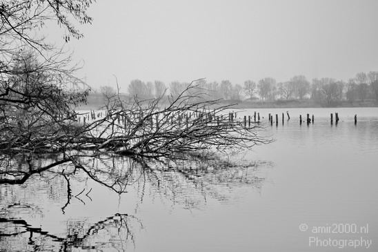 Dutch_landscape_at_Flevopark_Nature_Photography_001_Canon_EOS_5D_Mark_IV.JPG
