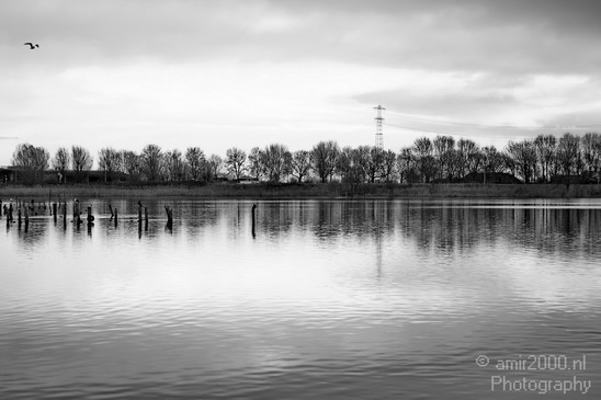 Dutch_landscape_at_Flevopark_Nature_Photography_004_Canon_EOS_5D_Mark_IV.JPG