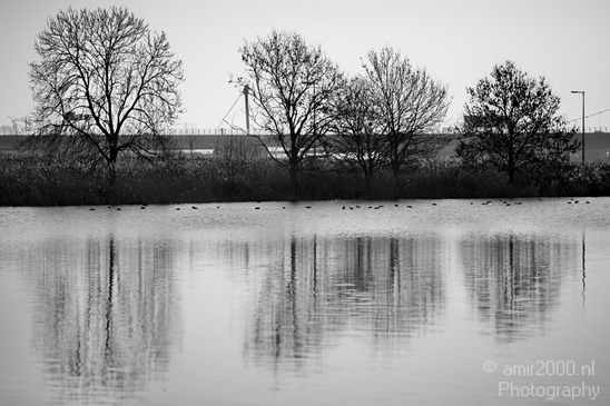 Dutch_landscape_at_Flevopark_Nature_Photography_007_Canon_EOS_5D_Mark_IV.JPG