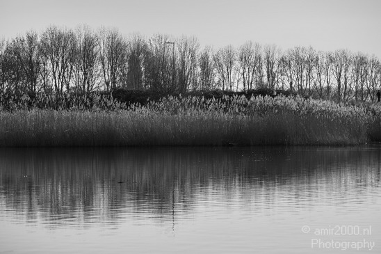 Dutch_landscape_at_Flevopark_Nature_Photography_009_Canon_EOS_5D_Mark_IV.JPG