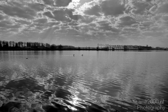 Dutch_landscape_at_Flevopark_Nature_Photography_012_Canon_EOS_5D_Mark_IV.JPG