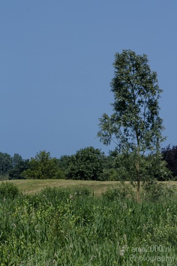 Dutch_landscape_het_Twiske_summer_Nature_Photography_003_Canon_EOS_7D.JPG