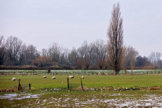 Dutch_landscape_nederlandse_landschap_North_Holland_winter_Photography_002_Canon_EOS_5D_Mark_IV.JPG