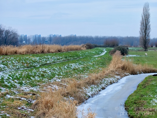 Dutch_landscape_nederlandse_landschap_North_Holland_winter_Photography_003_Canon_EOS_5D_Mark_IV.JPG