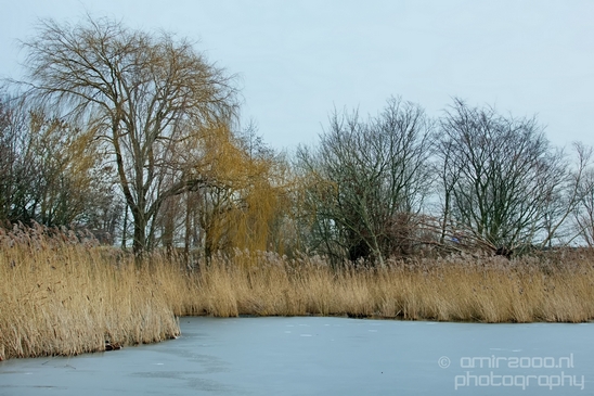 Dutch_landscape_nederlandse_landschap_North_Holland_winter_Photography_006_Canon_EOS_5D_Mark_IV.JPG