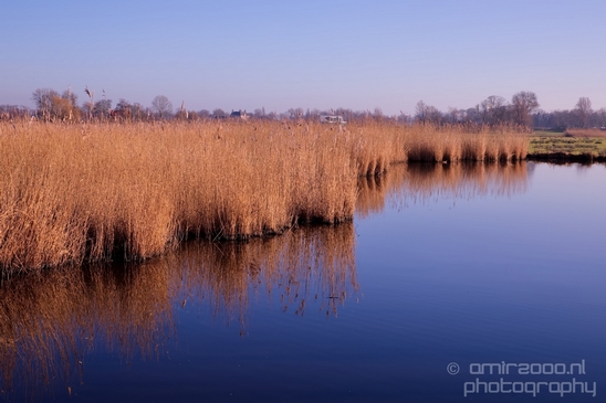 Dutch_landscape_nederlandse_landschap_North_Holland_winter_Photography_010_Canon_EOS_5D_Mark_IV.JPG