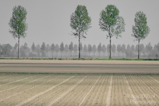 Dutch_landscape_nederlandse_landschap_spring_lente_Photography_004_Canon_EOS_7D.JPG