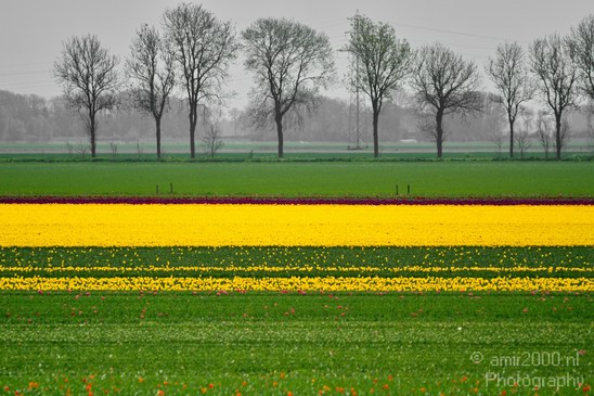 Dutch_landscape_nederlandse_landschap_spring_lente_Photography_005_Canon_EOS_7D.JPG