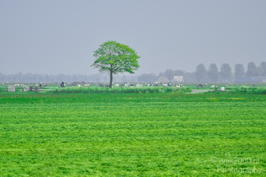 Dutch_landscape_nederlandse_landschap_spring_lente_Photography_007_Canon_EOS_7D.JPG