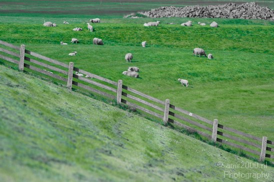 Dutch_landscape_nederlandse_landschap_spring_lente_Photography_008_Canon_EOS_7D.JPG
