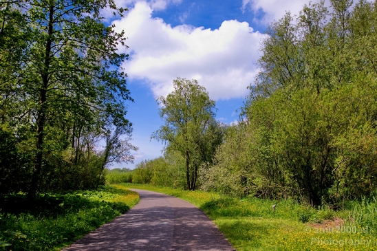 Dutch_landscape_nederlandse_landschap_spring_lente_nature_Photography_001_Canon_EOS_5D_Mark_IV.JPG