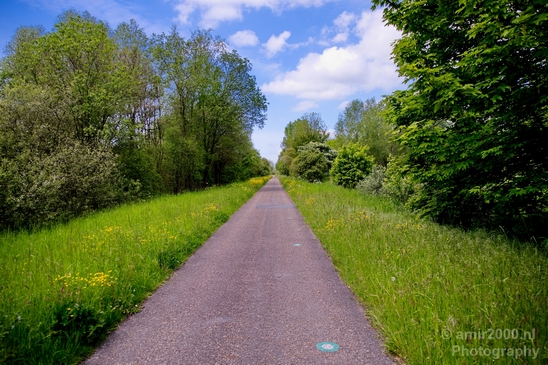 Dutch_landscape_nederlandse_landschap_spring_lente_nature_Photography_003_Canon_EOS_5D_Mark_IV.JPG