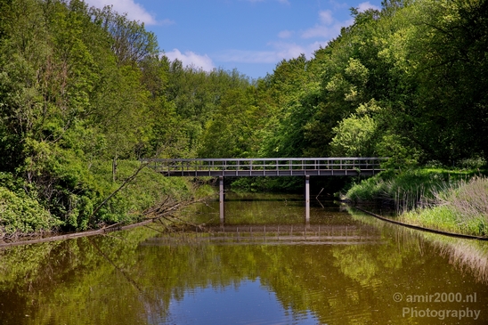 Dutch_landscape_nederlandse_landschap_spring_lente_nature_Photography_004_Canon_EOS_5D_Mark_IV.JPG