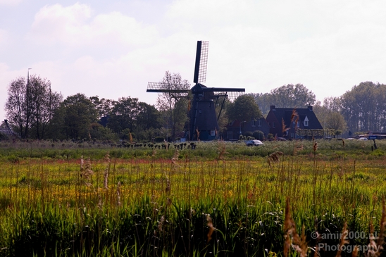 Dutch_landscape_nederlandse_landschap_spring_lente_nature_Photography_008_Canon_EOS_5D_Mark_IV.JPG