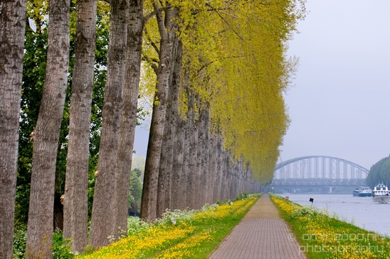Dutch_landscape_nederlandse_landschap_spring_lente_nature_Photography_012_Canon_EOS_5D_Mark_IV.JPG