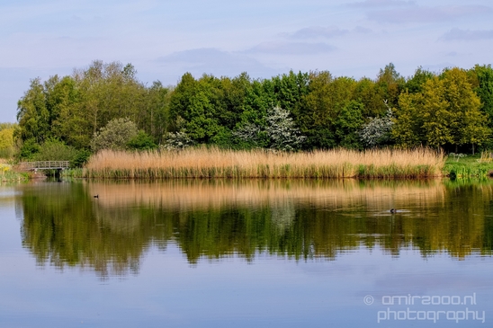 Dutch_landscape_nederlandse_landschap_spring_lente_nature_Photography_020_Canon_EOS_5D_Mark_IV.JPG