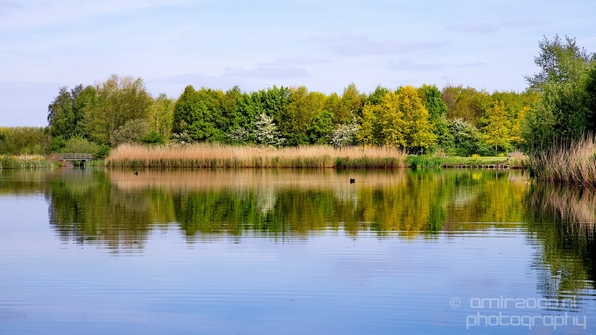 Dutch_landscape_nederlandse_landschap_spring_lente_nature_Photography_021_Canon_EOS_5D_Mark_IV.JPG