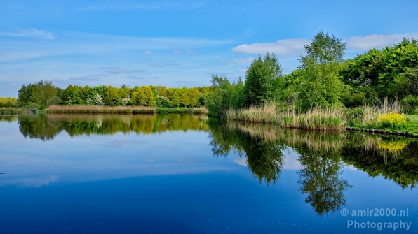 Dutch_landscape_nederlandse_landschap_spring_lente_nature_Photography_024_Canon_EOS_5D_Mark_IV.JPG