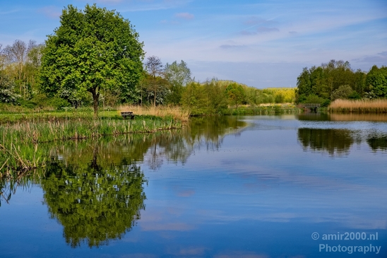 Dutch_landscape_nederlandse_landschap_spring_lente_nature_Photography_026_Canon_EOS_5D_Mark_IV.JPG