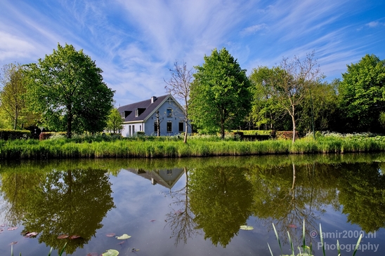 Dutch_landscape_nederlandse_landschap_spring_lente_nature_Photography_029_Canon_EOS_5D_Mark_IV.JPG
