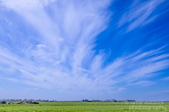 Dutch_landscape_nederlandse_landschap_spring_lente_nature_Photography_034_Canon_EOS_5D_Mark_IV.JPG