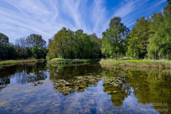 Dutch_landscape_nederlandse_landschap_spring_lente_nature_Photography_036_Canon_EOS_5D_Mark_IV.JPG
