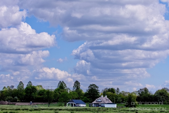 Dutch_landscape_nederlandse_landschap_spring_lente_nature_Photography_037_Canon_EOS_5D_Mark_IV.JPG