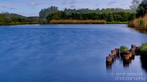 Dutch_landscape_nederlandse_landschap_spring_lente_nature_Photography_039_Canon_EOS_5D_Mark_IV.JPG