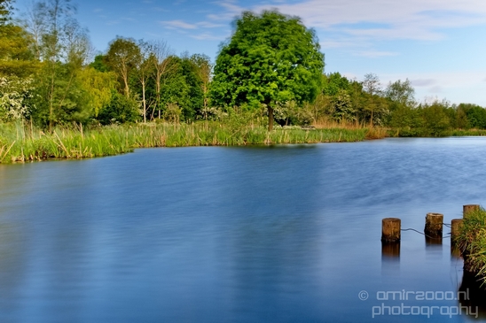 Dutch_landscape_nederlandse_landschap_spring_lente_nature_Photography_040_Canon_EOS_5D_Mark_IV.JPG