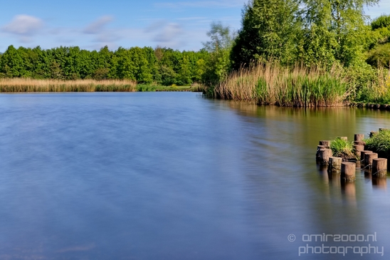 Dutch_landscape_nederlandse_landschap_spring_lente_nature_Photography_042_Canon_EOS_5D_Mark_IV.JPG