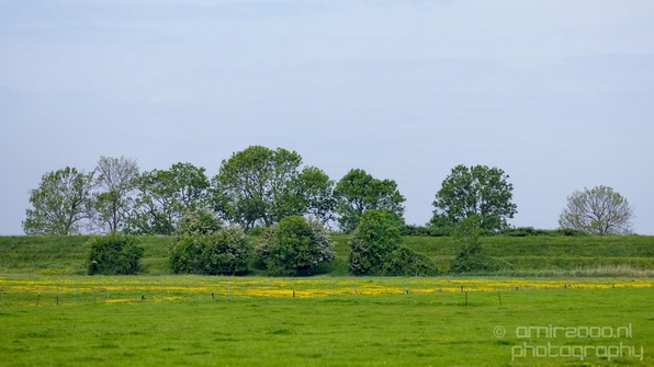 Dutch_landscape_nederlandse_landschap_spring_lente_nature_Photography_044_Canon_EOS_5D_Mark_IV.JPG