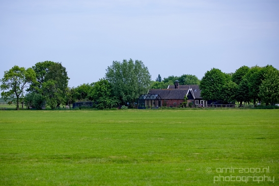Dutch_landscape_nederlandse_landschap_spring_lente_nature_Photography_046_Canon_EOS_5D_Mark_IV.JPG