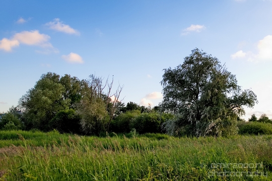 Dutch_landscape_nederlandse_landschap_spring_lente_nature_Photography_055_Canon_EOS_5D_Mark_IV.JPG