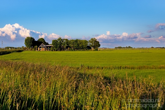 Dutch_landscape_nederlandse_landschap_spring_lente_nature_Photography_056_Canon_EOS_5D_Mark_IV.JPG