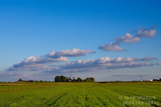 Dutch_landscape_nederlandse_landschap_spring_lente_nature_Photography_057_Canon_EOS_5D_Mark_IV.JPG